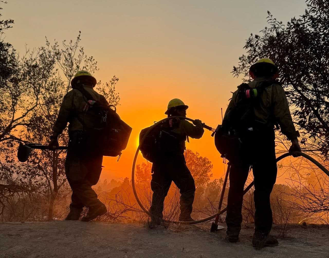 Δασική πυρκαγιά — φωτογραφία αρχείου · Pacific Southwest Forest Service, USDA / Public domain, μέσω Wikimedia Commons